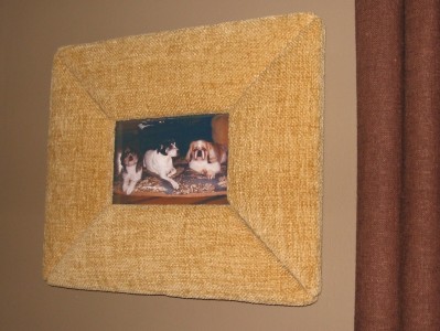 Picture Perfect Pups!
